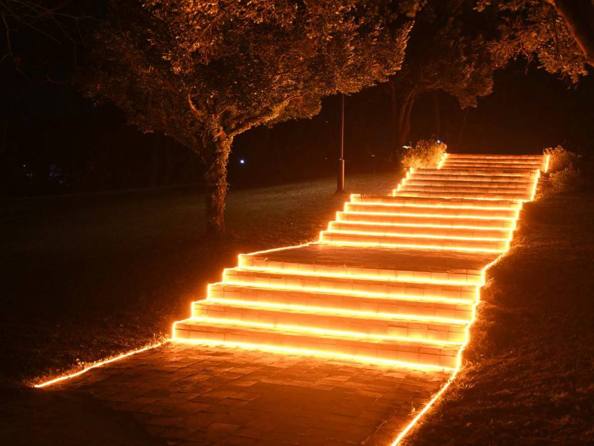 大陳公園夜晚大變身  光耀森林燈海成花蓮走春新景點