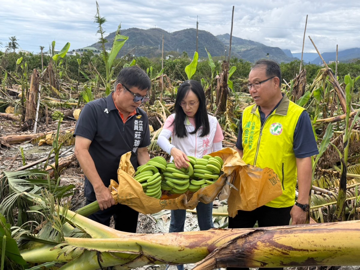 台東國有耕地租金減收7成、9,808戶農民受惠   立委陳瑩,莊瑞雄：減租是陪伴農民渡過難關