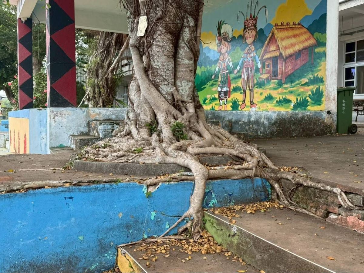 爭取寧埔國小運動場整建  陳瑩爭取千萬經費打造標準PU跑道